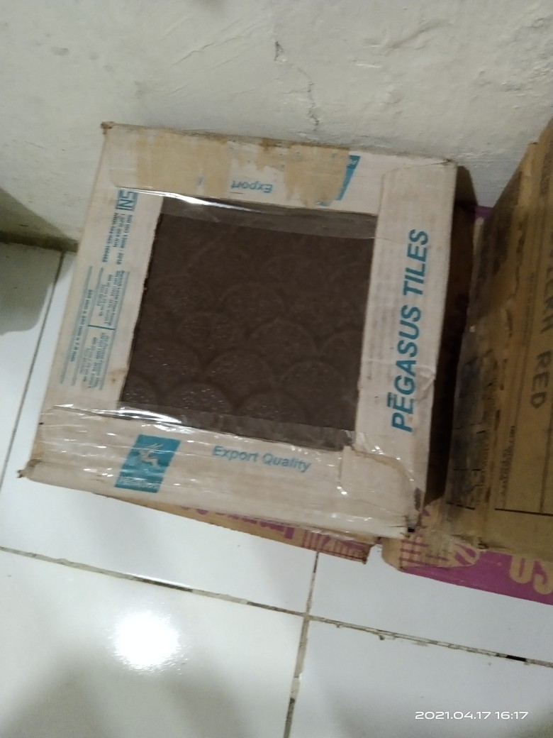 Keramik Lantai Kamar Mandi 25x25 Fuji Sisik