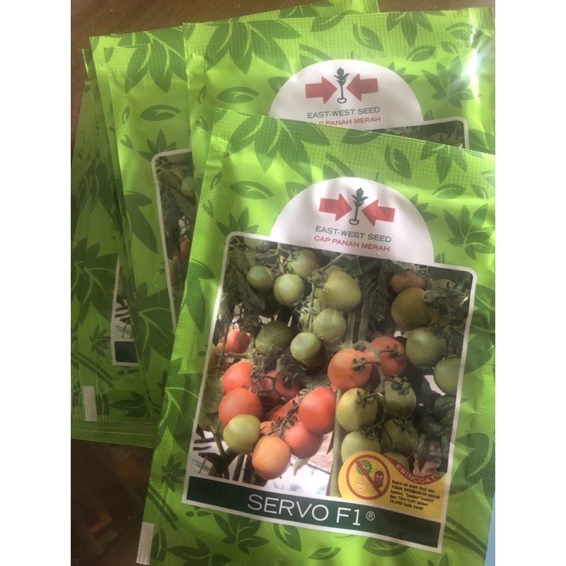 bibit tomat servo F1 cap panah merah (kemasan besar)
