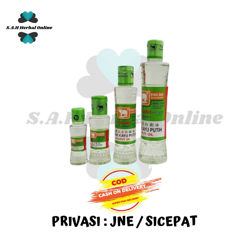 Minyak Kayu Putih Cap Gajah Botol Plastik