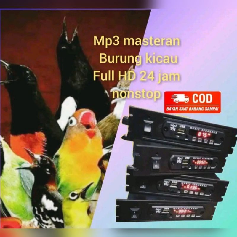 MASTERAN BURUNG MP3 MUSIK BOX/KICAU MANIA MASTERAN MURAI 24 JAM FUL