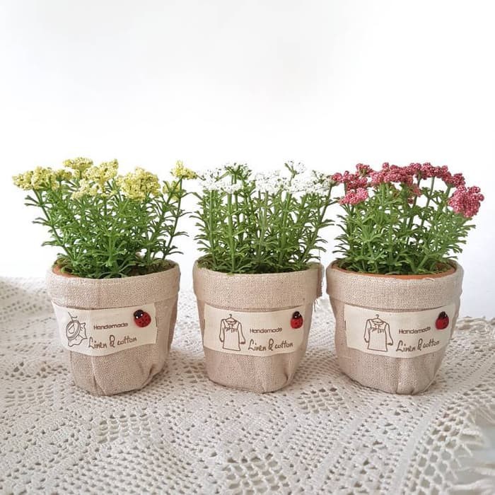 Pot | Pot Bunga Mini Sarung Linen Pot Keramik Kepik