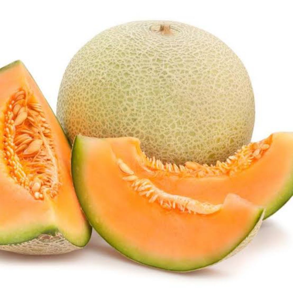 20 Bibit melon super manis