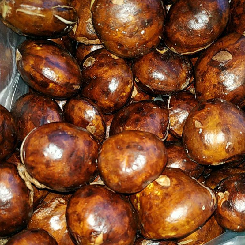 

JENGKOL