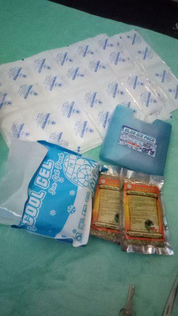 Icepack Kotak Frois 15x15x2.8 Cm Blue Ice Pack Coolpack