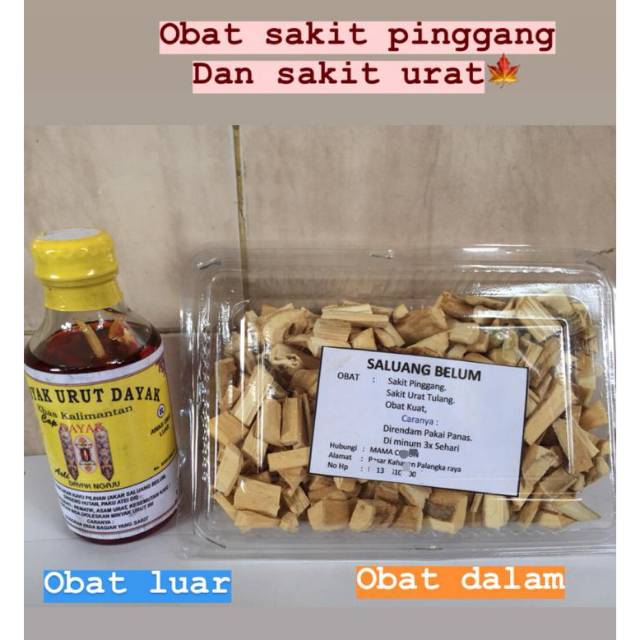 

OBAT SAKIT PINGGANG SEPAKET MINYAK URUT DAYAK DAN OBAT RAMUAN KHUSUS SAKIT PINGGANG dan urat