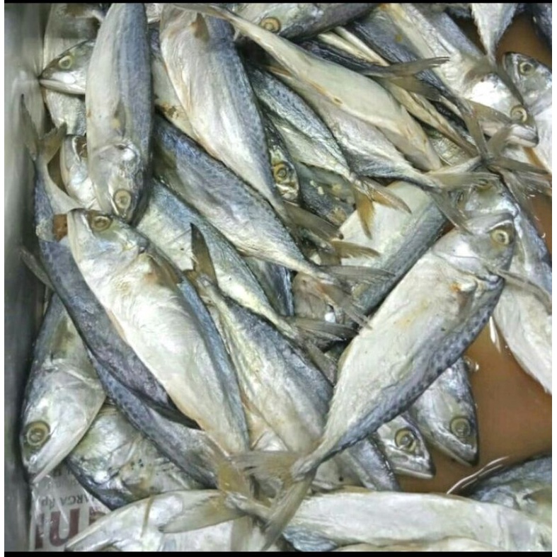 

Ikan Asin (Peda Putih 1kg)