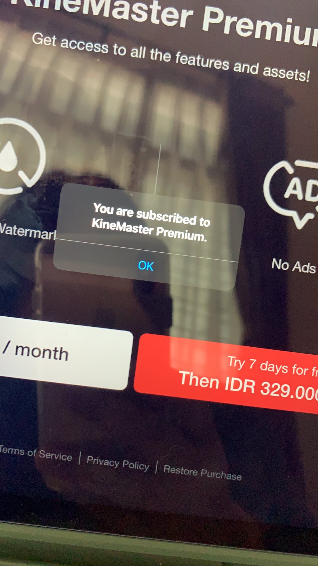 Kinemaster Pro Ios 6 Bulan