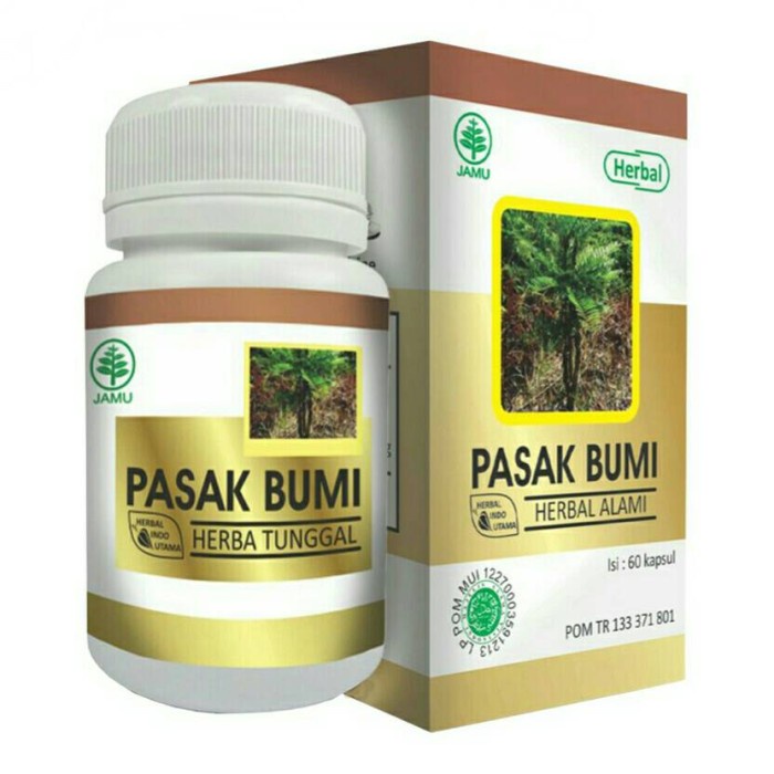 HIU PASAK BUMI ISI 60 KAPSUL / PASAK BUMI ASLI