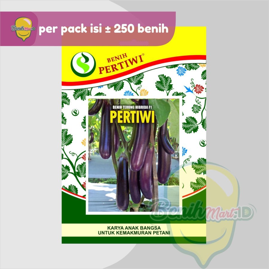 Benih Terong Ungu Hibrida PERTIWI