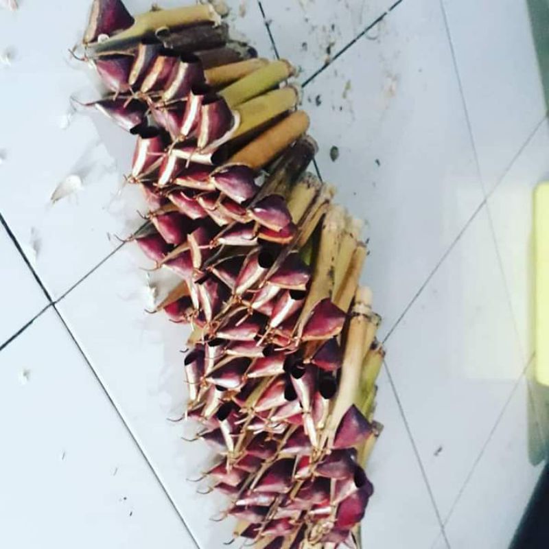 

canting tulis cirebon