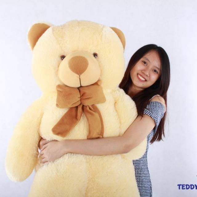 teddy bear 3 meter