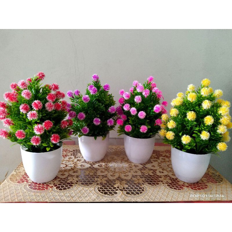 

bunga shabby