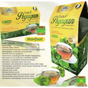 Produk Terlaris Teh Pegagan Tubruk Pak Haji Hpa International