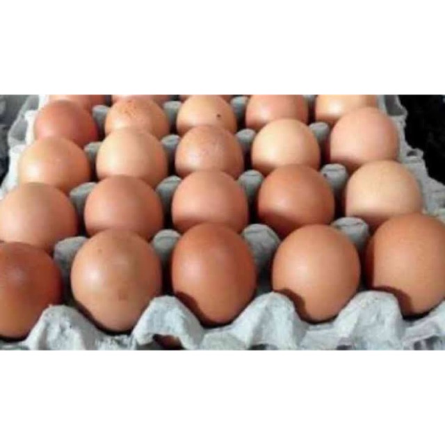 

Telur ayam