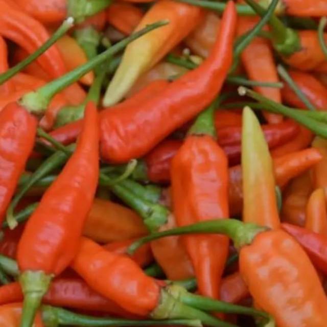 

Cabe rawit merah