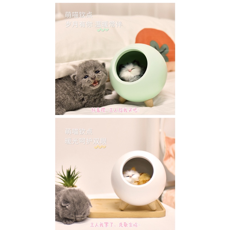 Lampu pet kucing lucu lampu hias tidur night lamp LB019