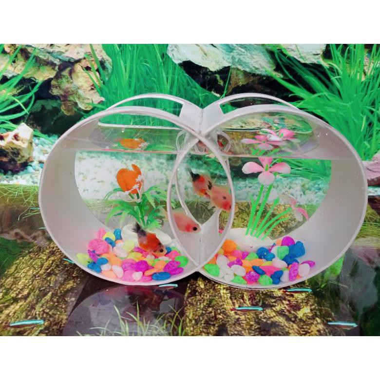 Ready Aquarium Mini Unik Akrilik Pvc Bulat Double Cupang,Gapi,Neon,Ikan Hias