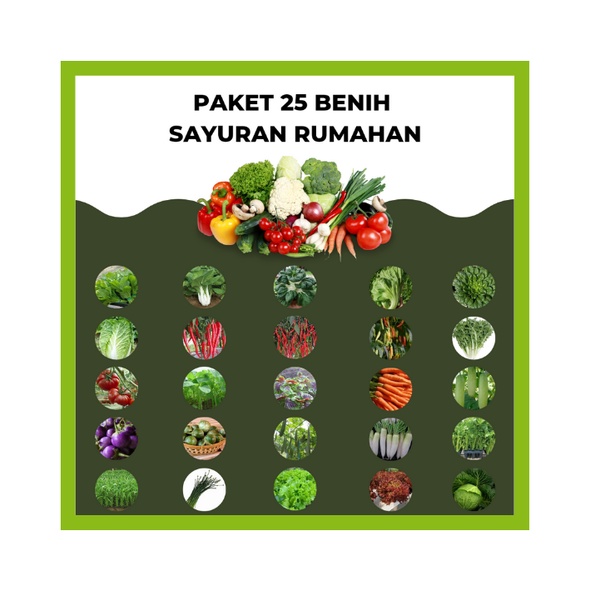 Bibit Sayuran Benih Paket Lengkap 25 Macam Benih Sayuran Paket Murah Pemula 30 Hari Panen Benih Bibit Sayur Lengkap Unggul Berkualitas Premium Seed Benih Unggul Griyatani Store Kebumen Kangkung Cabe Sawi Selada-PAKET 25 BENIH SAYUR