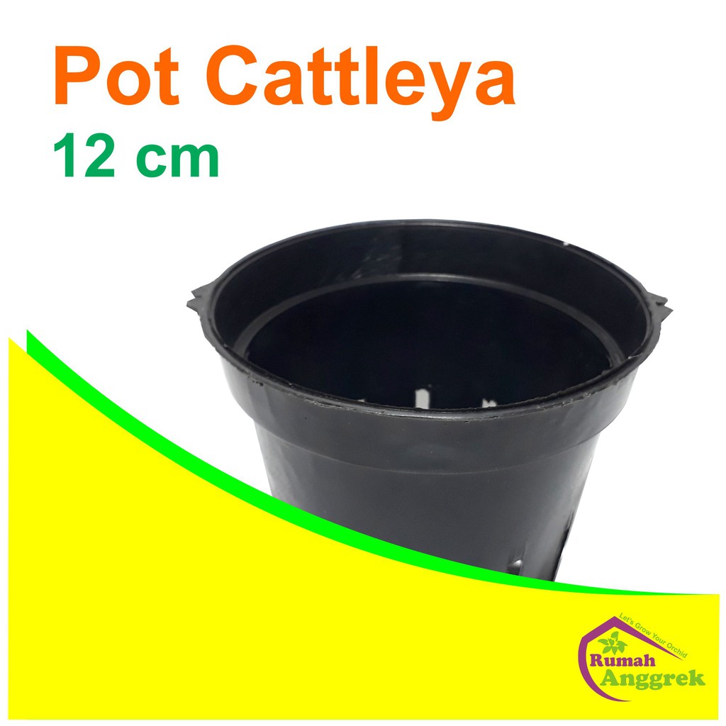 Pot Cattleya Gantung Bulat 12 cm kawat dendrobium anggrek plastik remaja