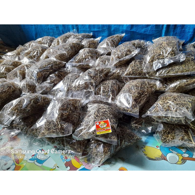 

100 Gram , Kate mas kering , Katemas , patik mas , suduk mentul , sena kering ( herbal pencuci perut ) , tanaman herbal , akar herbal , daun kasroli , daun herbal , untuk diet , Kate Mas kering , cahar pencuci perut , katemas bubuk , teh diet , katemas