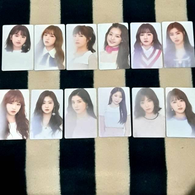 [SHARING] (Color/Rose vers.) Photocard IZ*ONE Kihno /Kinho Album - Color*IZ (IZONE COLORIZ)