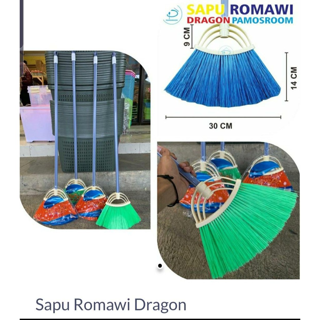 Sapu Romawi Dragonn