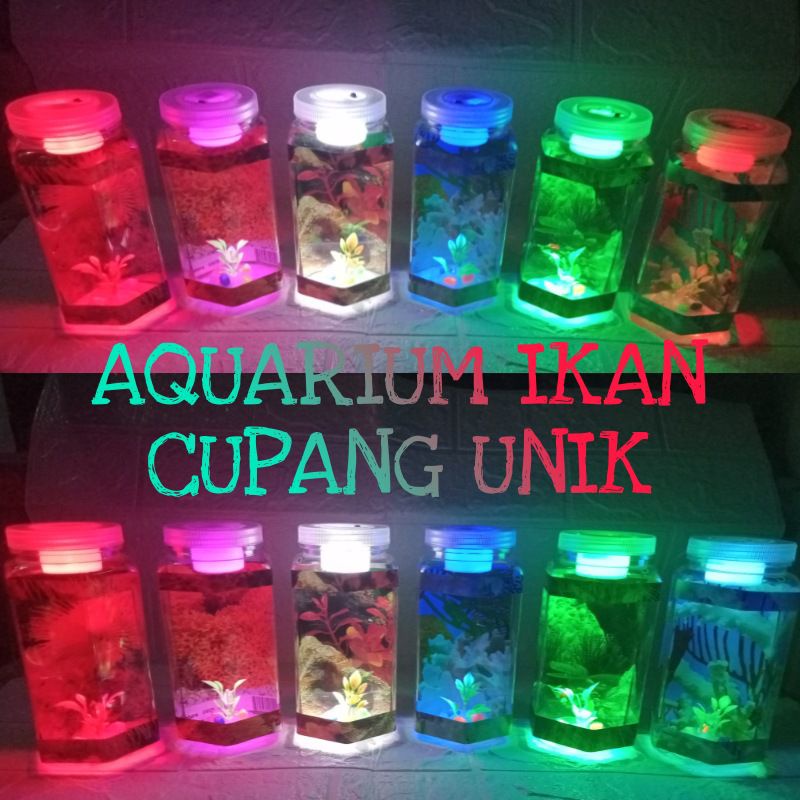 Aquarium Mini Ikan Cupang Bentuk Tabung Persegi Enam Unik Akuarium Guppy Lucu Akuarium Mini Ikan Kec