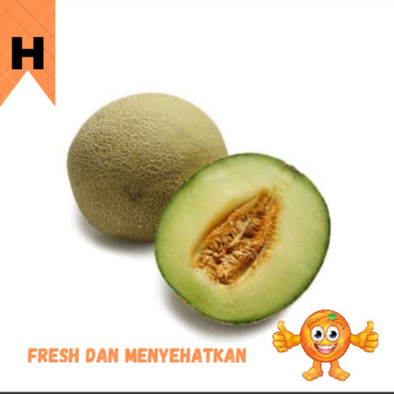 

BUAH MELON HIJAU /PCS