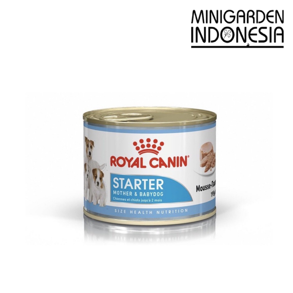 ROYAL CANIN WET STARTER MOUSSE 195 GRAM mother and babydog wetfood dogfood kaleng royalcanin 195gr