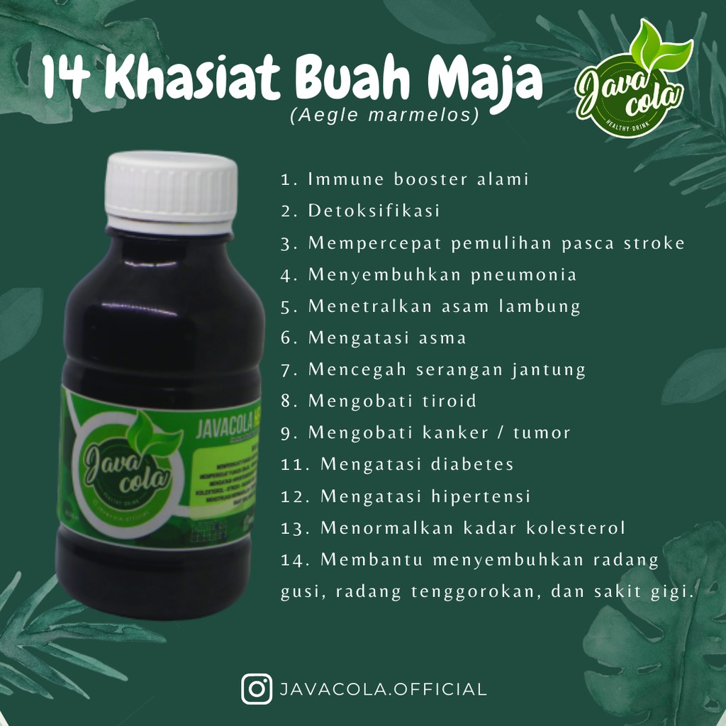 Jual Java Cola Healthy Drink Minuman Sari Buah Maja (Aegle Marmelos) Immune Booster Indonesia|Shopee Indonesia