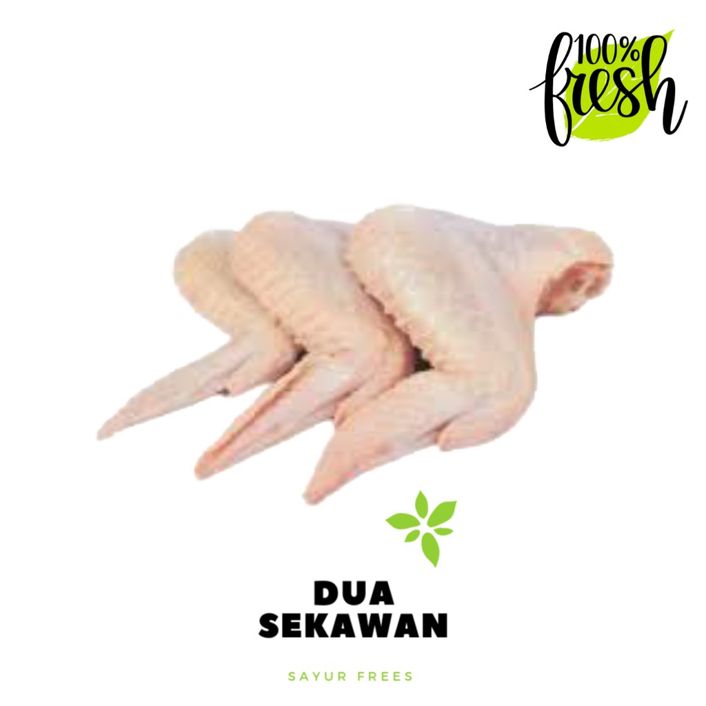 

Dua Sekawan | sayap ayam broiler segar