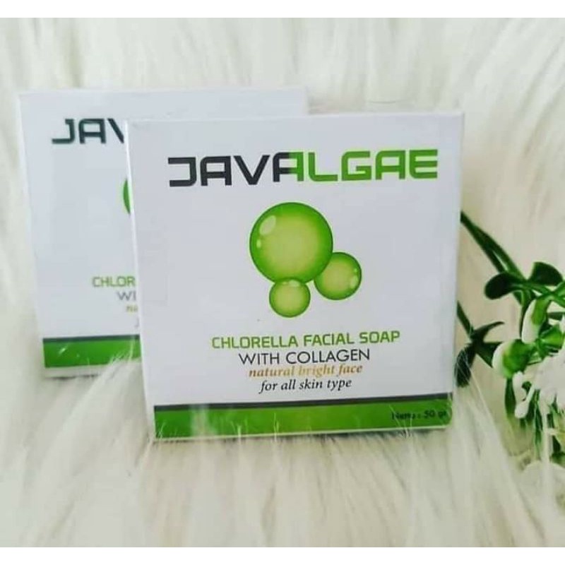 Javalgae facial soap/sabun muka nasa/pembersih muka nasa