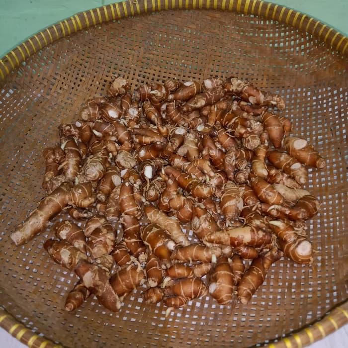 

[ PROMO ] Kencur Segar 100g