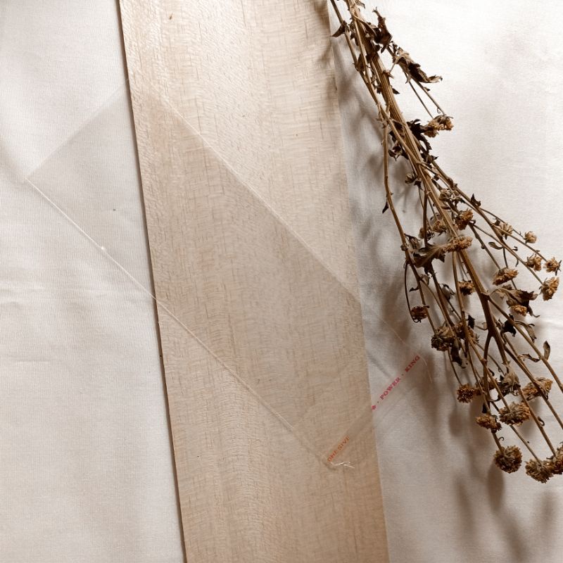 PLASTIK UANG 7x15cm MONEY BOUQUET ADA PEREKATNYA