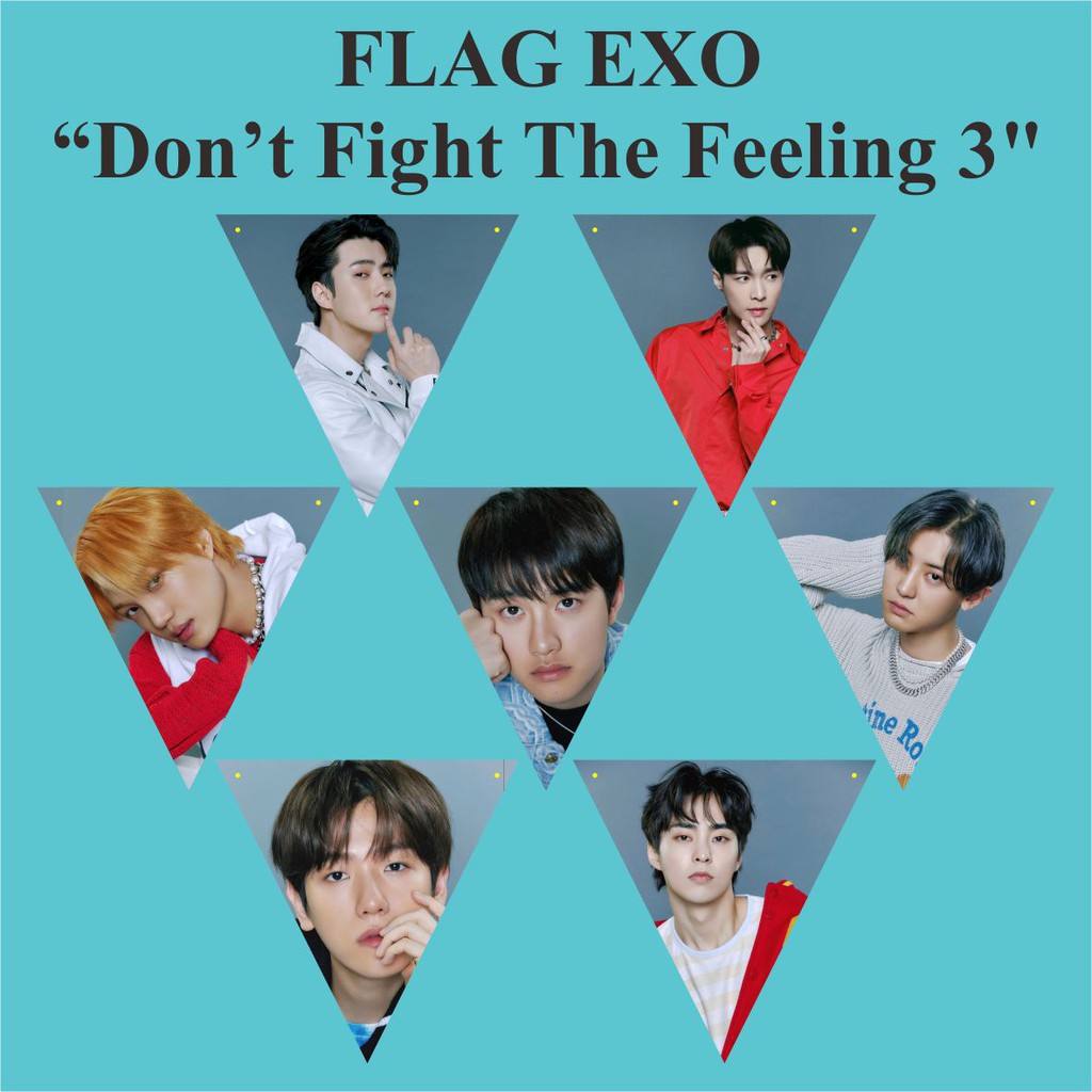 BUNTING FLAG EXO DON'T FIGHT THE FEELING Plus Tali Kpop Murah