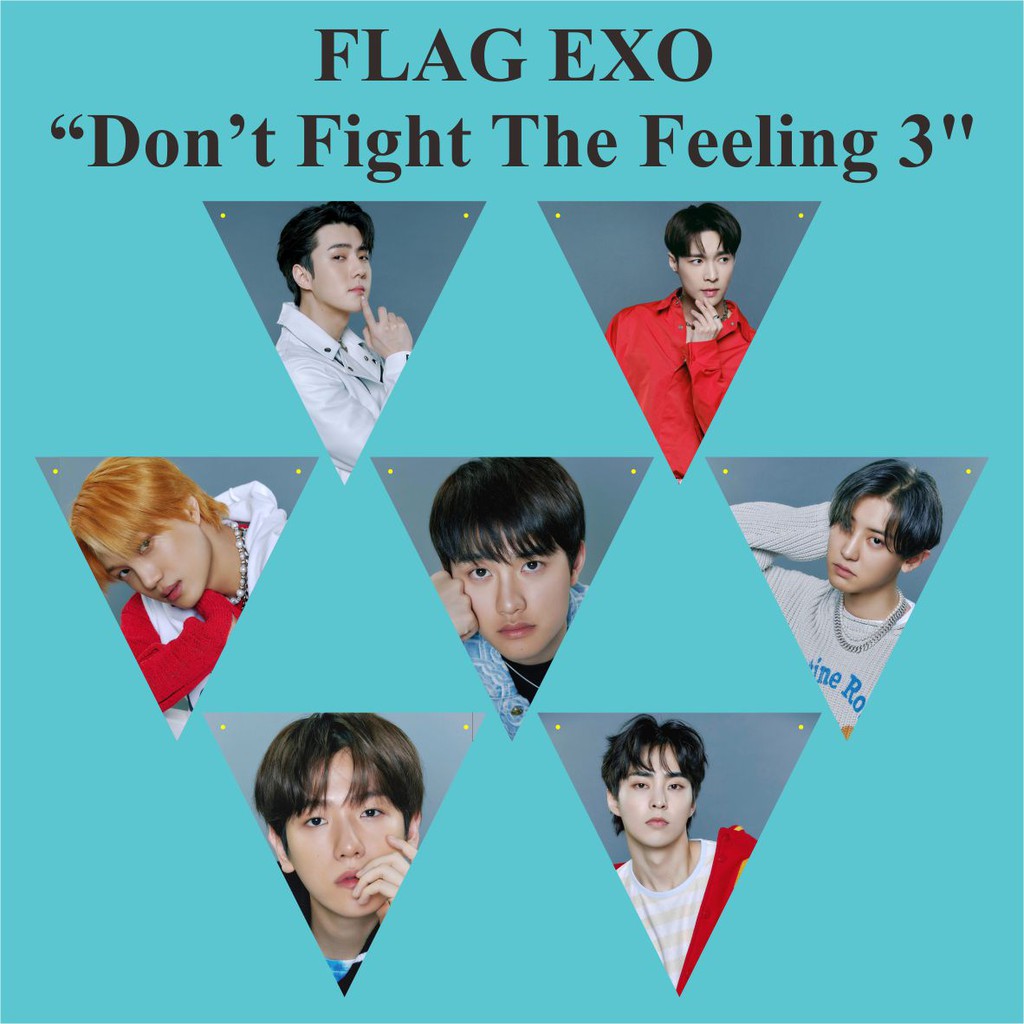 BUNTING FLAG EXO DON'T FIGHT THE FEELING Plus Tali Kpop Murah