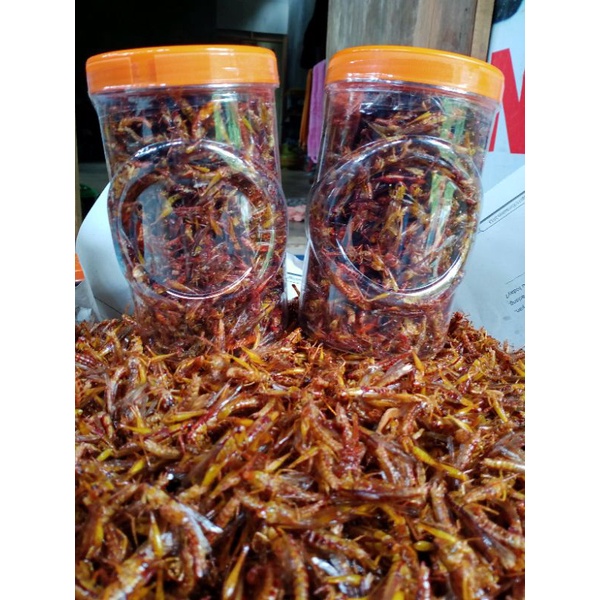 

BELALANG GORENG GURIH GURIH