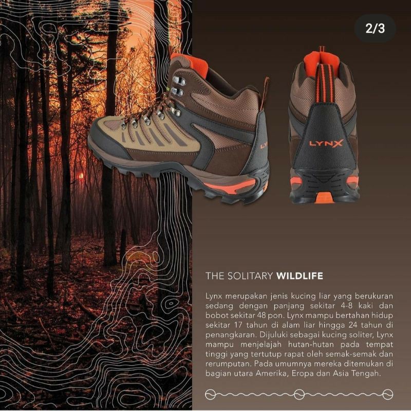Sandal Gunung Outdoor Proo Lynk - Sepatu Gunung - Sepatu Hiking