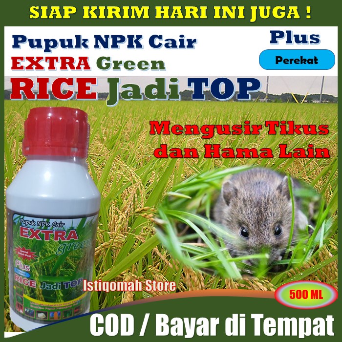 RICE JADI TOP 500ML Obat Penambah Bobot Padi Atasi Bulir Padi Agar Berisi - Pupuk Organik Cair Obat 