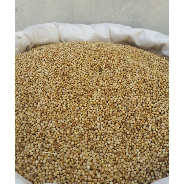 

Ketumbar (Coriader Seed) 100 gr