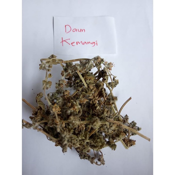 

Daun Kemangi Kering / Ocimum Africanum / Ruku Ruku 500 gram