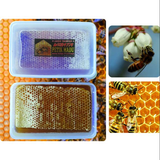 

Madu Sarang Honey Comb Fresh Honey 750 gram
