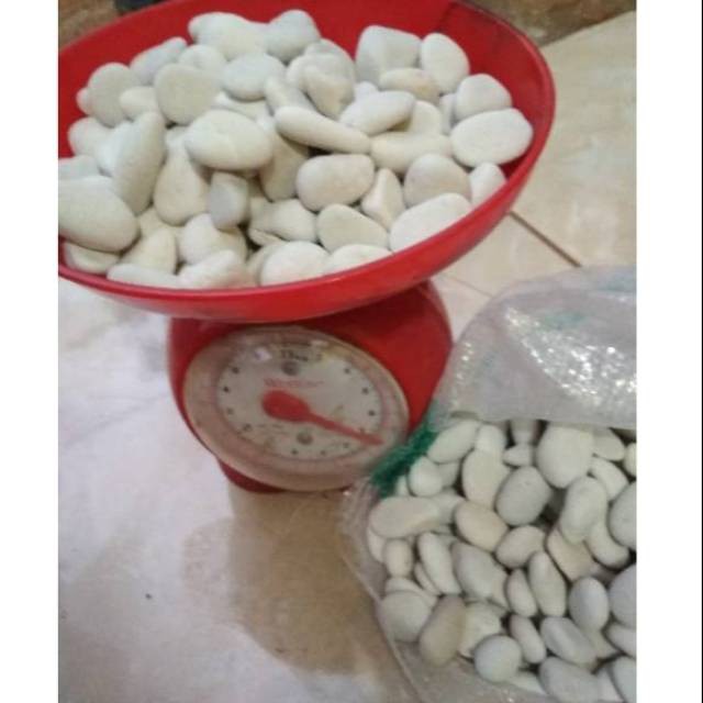 Jual Batu Korall Putih Batu Hias Batu Taman Batu Pot Hias Shopee