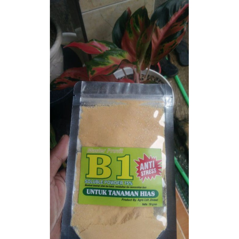 vitamin B1 powder vit b1 bubuk konsentrat 50gr untuk aglonema anggrek keladi dan tanaman hias lain
