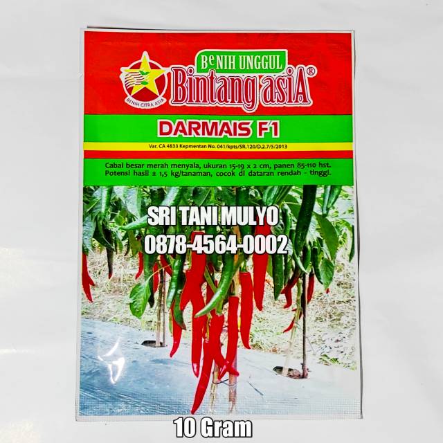 Benih Cabai Merah Besar DARMAIS F1 10gr - Bintang Asia Benih Cabe Besar Viral Pilar Cabe OR Harga Te