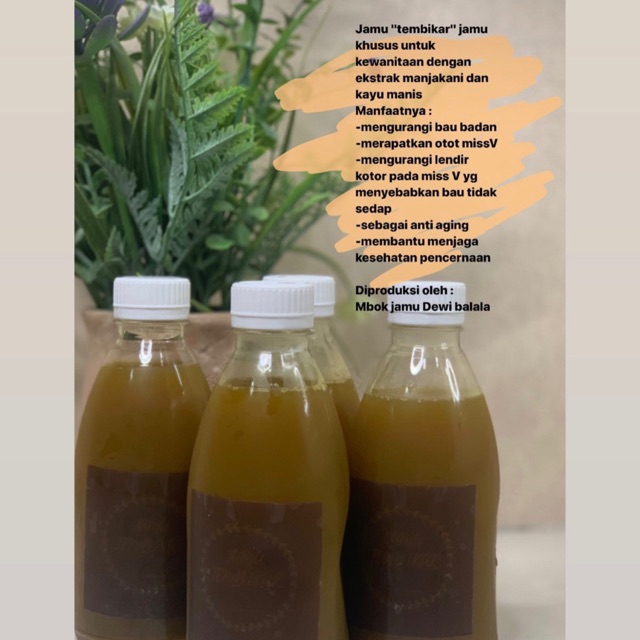 

Jamu miss V(Jamu tembikar)