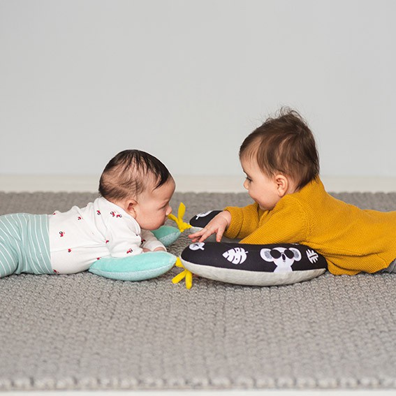 Taf Toys 2 in 1 Tummy Time Pillow