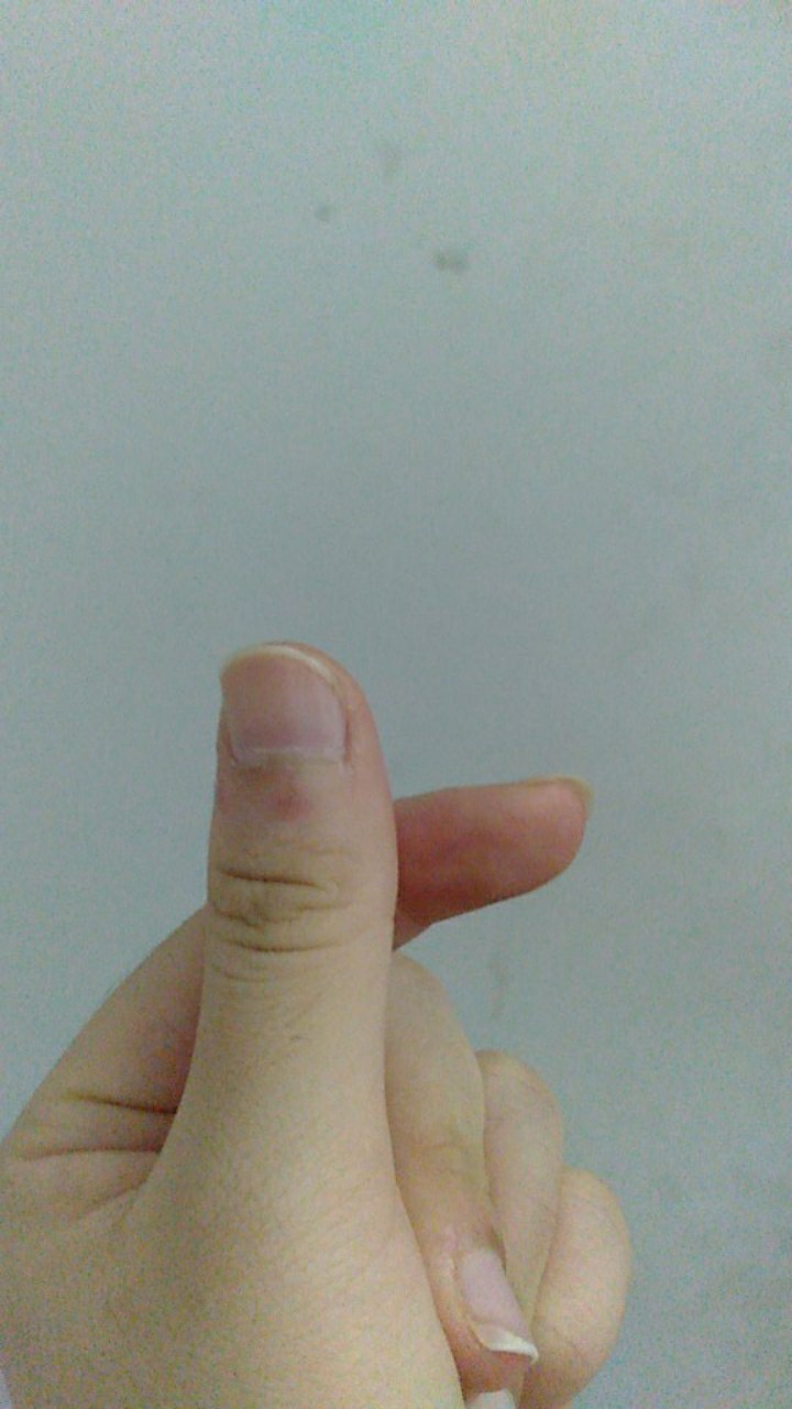 Sarung Kasur Springbed Resleting 90x200x20