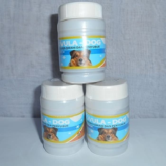 obat birahi anjing OVULA DOG