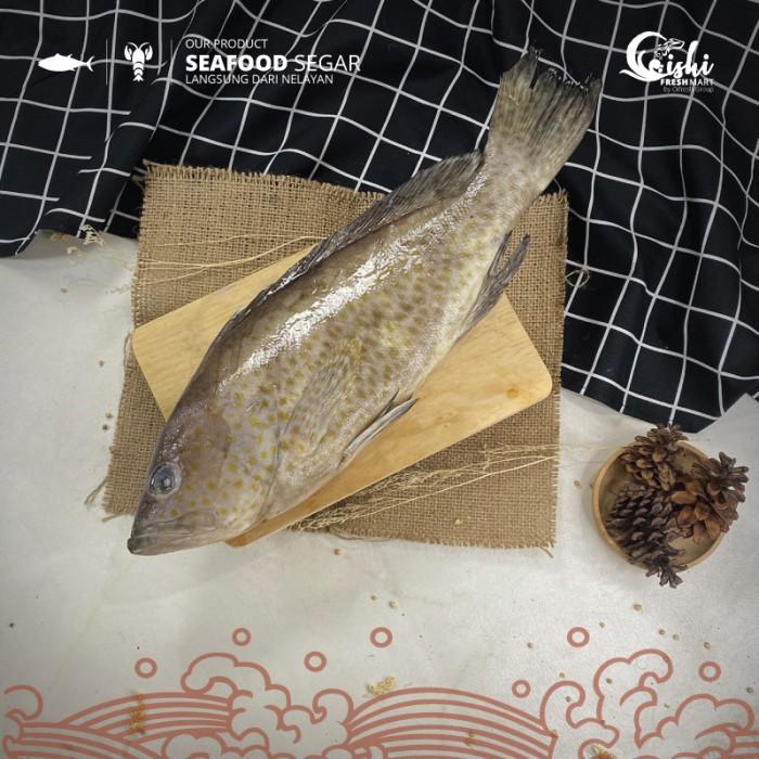 

Fisho | Ikan Kerapu Totol Segar / Ikan Laut Segar Kiloan 2-3 Ekor/ Pack 1 Kg Ready stock